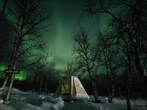 Aurora Wilderness Cones