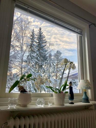 Cozy room surrounded by nature